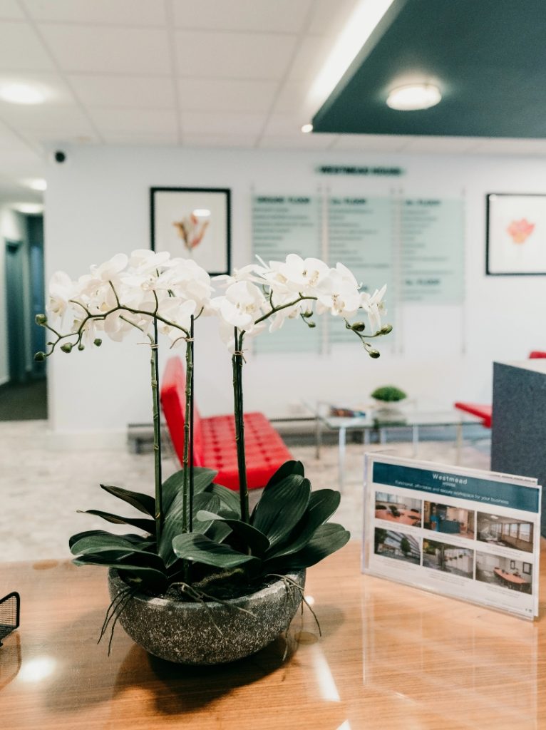 The welcoming reception area at Westmead House